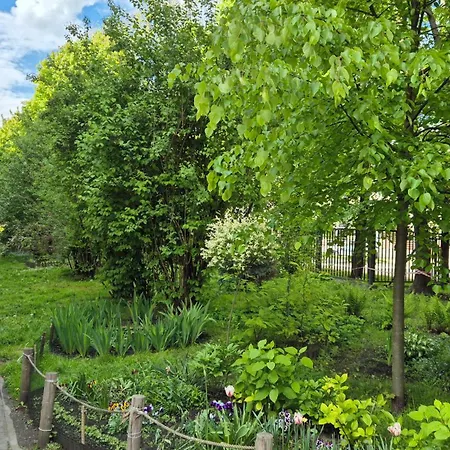 公寓 Daszynskiego *